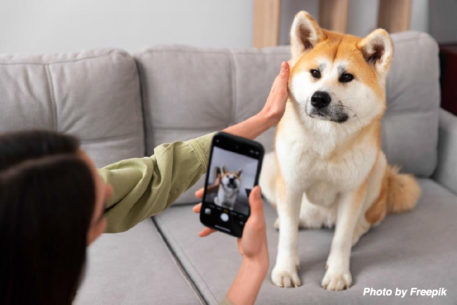 Paw-sitively Perfect: Top Tips for Instagram-Worthy Dog Photography